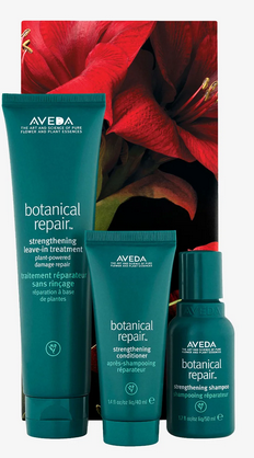 Aveda botanical repair strengthening hair trio