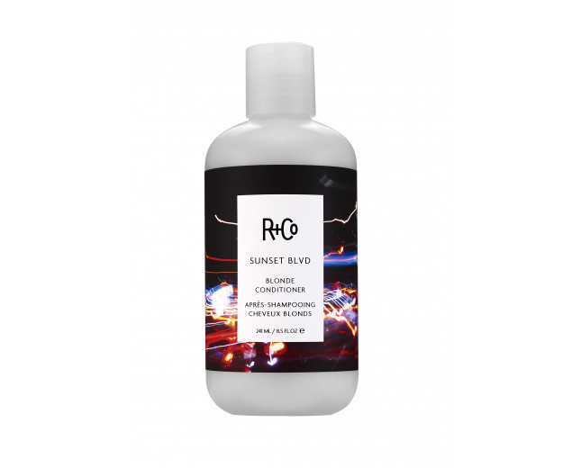 10. "R+Co Sunset Blvd Blonde Shampoo for Gray Hair" - wide 1