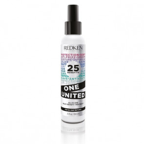 Redken styling spray 25 benefits one united 150 ml